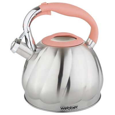 Чайник из нержавеющей стали Webber BE-0543 3 л