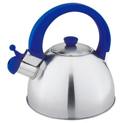 Чайник из нержавеющей стали Webber BE-0549 3 л