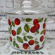 Стальная эмалированная кастрюля Epos 63117 5,5 л с рисунком "Черешня" (Новомосковск)