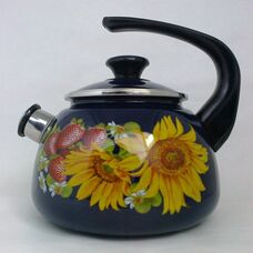Стальной эмалированный чайник КМК 43615-103/6 2 л синий