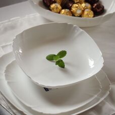 Столовый сервиз Luminarc Lotusia H1792 19 предметов