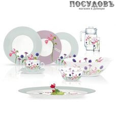 Luminarc Rosana Begonia N2143 сервиз столовый стекло упрочненное 46 пр.