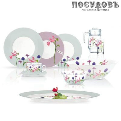 Luminarc Rosana Begonia N2143 сервиз столовый стекло упрочненное 46 пр.