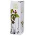 Pasabahce Botanica 43257B, ваза, высота 180 мм, материал стекло, Россия, в упаковке 1 шт.