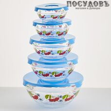 Забава Рябина голубая РК-0006 салатники в наборе с крышкой, стекло упрочненное, Россия, в упаковке 10 пр.