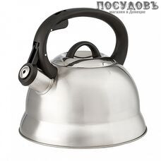 Webber ВЕ-0554 чайник со свистком, 2,5 л, сталь нержавеющая, цвет: сатин, 1 шт.