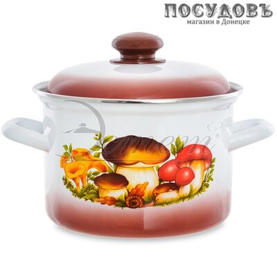 Эстет Грибы ЭТ-712012 кастрюля с крышкой 3,0 л, Ø180 мм, сталь эмалированная