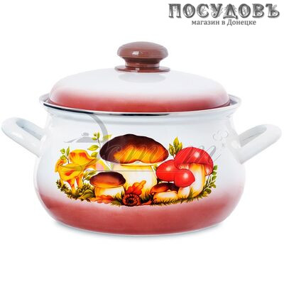 Эстет Грибы ЭТ-712022 кастрюля с крышкой 3,0 л, Ø210 мм, сталь эмалированная
