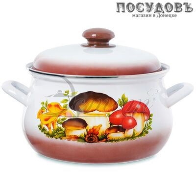 Эстет Грибы ЭТ-712023 кастрюля с крышкой 4,5 л, Ø235 мм, сталь эмалированная