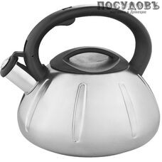 Webber BE-0569 чайник со свистком, 3 л, сталь нержавеющая, цвет: сатин, 2 пр.