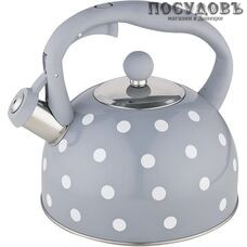 Webber BE-0576 чайник со свистком, 2,7 л, сталь нержавеющая, цвет: серый, 1 шт.