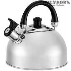 Webber BE-0528 чайник со свистком, 4,5 л, сталь нержавеющая, цвет: зеркальный, 1 шт.