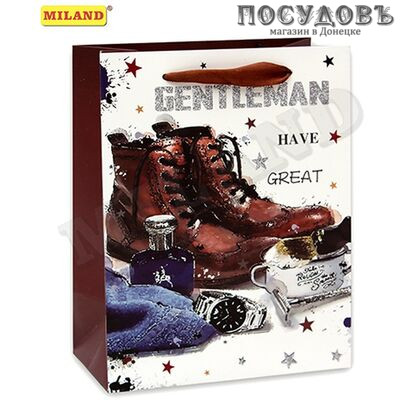 Dream cards Мужской стиль ПП-0176 пакет подарочный M-230×180×100 мм, бумага, глянцевая ламинация
