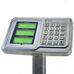 Delta ТВП1-300С весы торговые напольные, до 300 кг