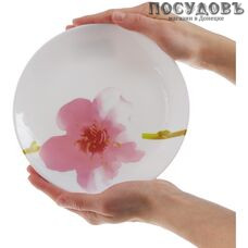 Luminarc Water Color e4897/j1331 тарелка десертная, стекло упрочненное, Ø190 мм, Франция 1 шт. Luminarc Water Color e4897/j1331 тарелка десертная, стекло упрочненное, Ø190 мм, Франция 1 шт.