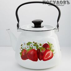 КМК 43504-132/6-СА чайник объемом 3,50 л, сталь эмалированная, цвет: белый с рисунком, стальная эмалированная ручка, Россия 1 шт