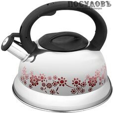 Webber BE-0522 чайник со свистком, 3 л, сталь нержавеющая, цвет: сатин, 1 шт.