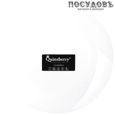 Quinsberry Nova WM8P тарелка обеденная 200 мм без упаковки 1 шт.