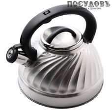 Wellberg WB6645 чайник со свистком объемом 3 л, сталь нержавеющая, в упаковке 1 шт.