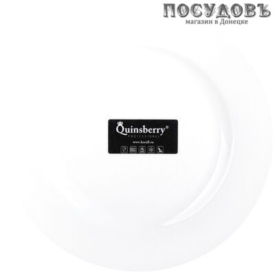 Quinsberry City WR90P тарелка обеденная 230 мм без упаковки 1 шт.
