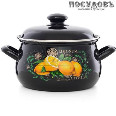 Эстет Цитрус ЭТ-72861 кастрюля с крышкой 3,0 л, Ø210 мм, сталь эмалированная, цвет черный