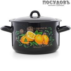 Эстет Цитрус ЭТ-72902 кастрюля с крышкой 2,9 л, Ø180 мм, сталь эмалированная, цвет черный