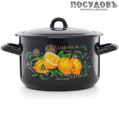 Эстет Цитрус ЭТ-72902 кастрюля с крышкой 2,9 л, Ø180 мм, сталь эмалированная, цвет черный