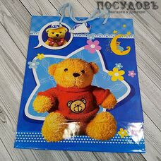 Арта Teddy Bear 10738-201820-M пакет подарочный М 192×160×42 мм, бумага, глянцевая ламинация