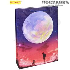 Dream cards Прогулка под луной ППД-0126 пакет подарочный, 445×324×102 мм, бумага, матовая ламинация