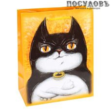 Dream cards Суперкот ПКП-6391 пакет подарочный, 327×264×136 мм, бумага, матовая ламинация