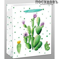 Dream cards Кактус с цветочками ППД-9611 пакет подарочный, 230×180×100 мм, бумага, матовая ламинация Dream cards Кактус с цветочками ППД-9611 пакет подарочный, 230×180×100 мм, бумага, матовая ламинация