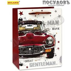 Dream cards Красный автомобиль ПП-0211 пакет подарочный, 320×260×120 мм, бумага, глянцевая ламинация Dream cards Красный автомобиль ПП-0211 пакет подарочный, 320×260×120 мм, бумага, глянцевая ламинация