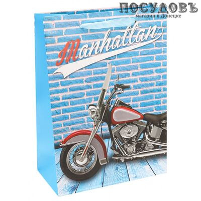 Dream cards Крутой мотоцикл и синяя стена ПКП-3439 пакет подарочный, 240×180×85 мм, бумага, матовая ламинация