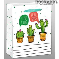 Dream cards Кактусы в горшке ППД-9648 пакет подарочный, 264×327×136 мм, бумага, матовая ламинация Dream cards Кактусы в горшке ППД-9648 пакет подарочный, 264×327×136 мм, бумага, матовая ламинация