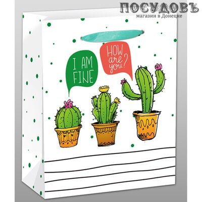 Dream cards Кактусы в горшке ППД-9648 пакет подарочный, 264×327×136 мм, бумага, матовая ламинация