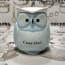 Кружка подарочная Коралл "Cute Owl" 390 мл, фарфор, с крышкой и ложкой в упаковке 1 шт