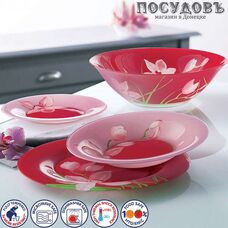 Столовый сервиз Luminarc Red Orchis g0663 19 предметов